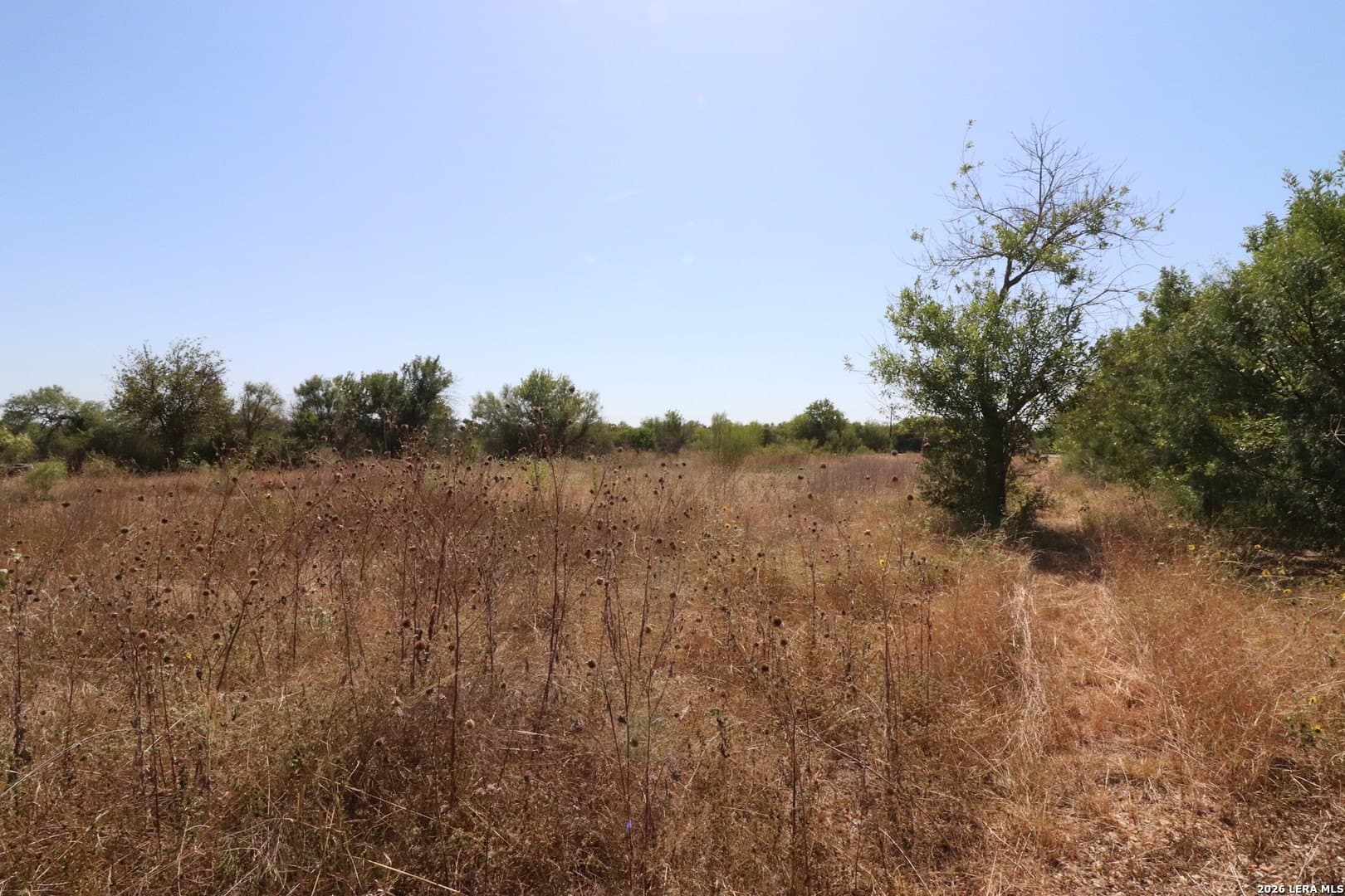 2 acres in Bexar County - photo 9