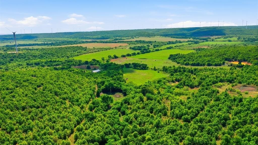 20 acres in Jack County gallery image 4