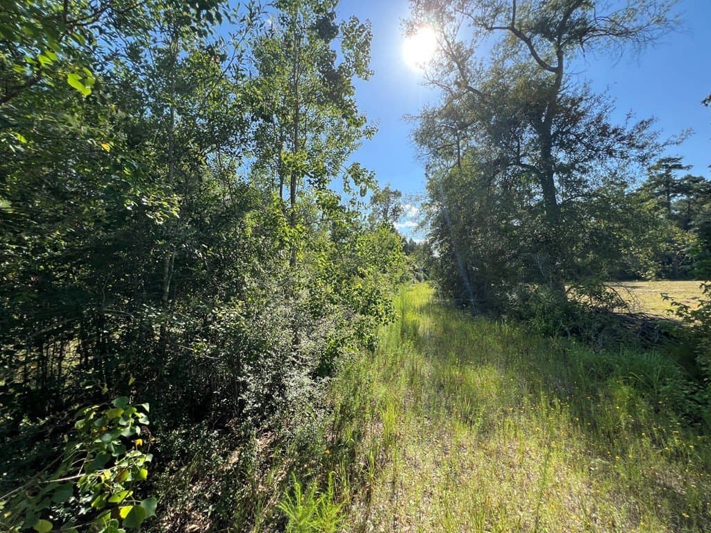 10.06 acres in Texas County featured view