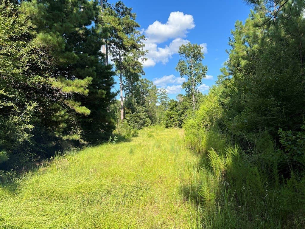10.06 acres in Texas County - photo 13