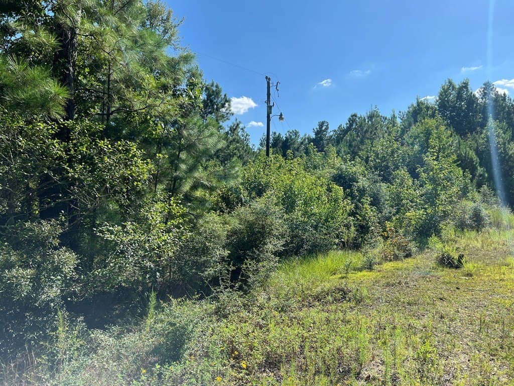 10.06 acres in Texas County - photo 8