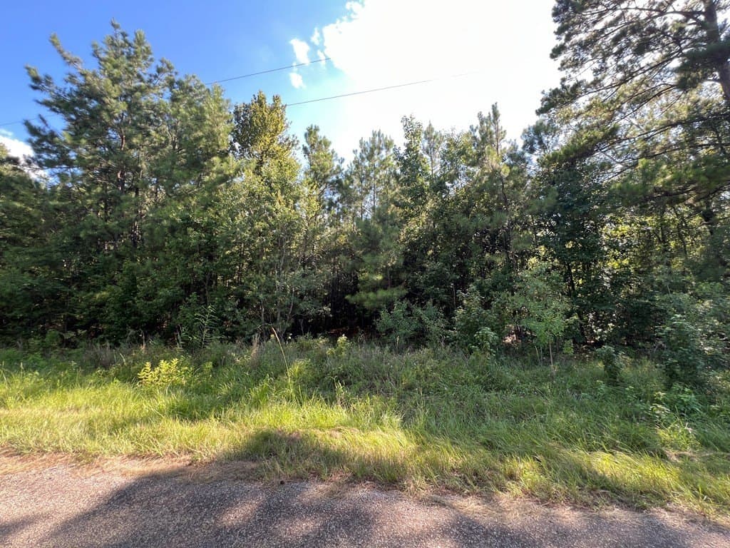 10.06 acres in Texas County gallery image 4