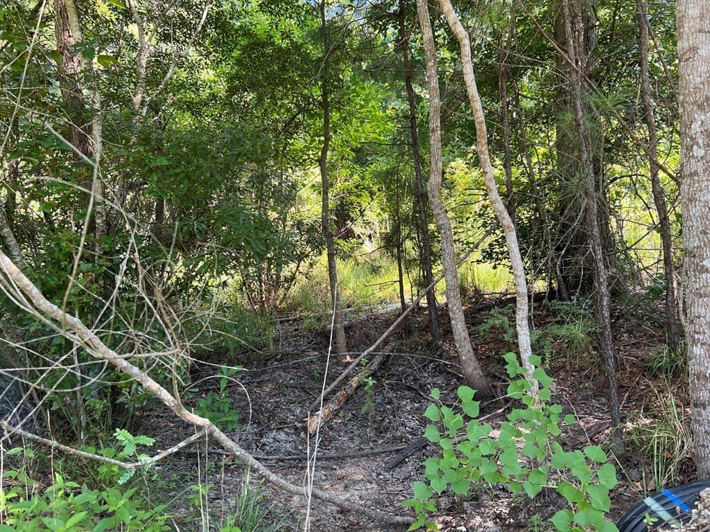 10.06 acres in Texas County - photo 7