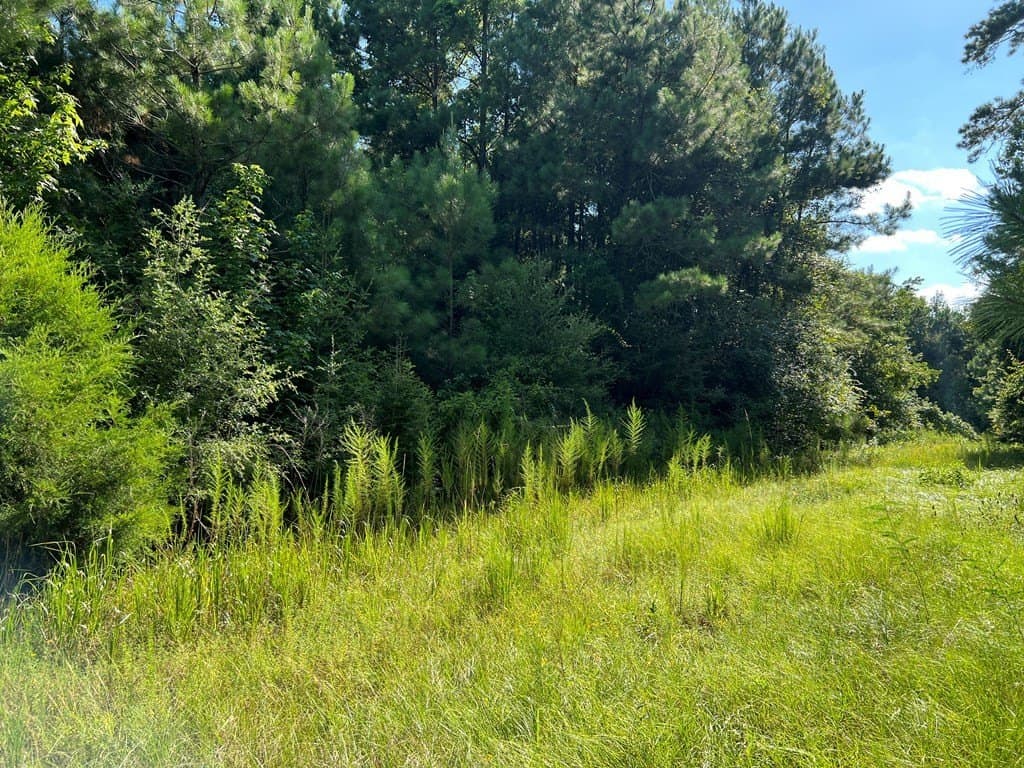 10.06 acres in Texas County - photo 9