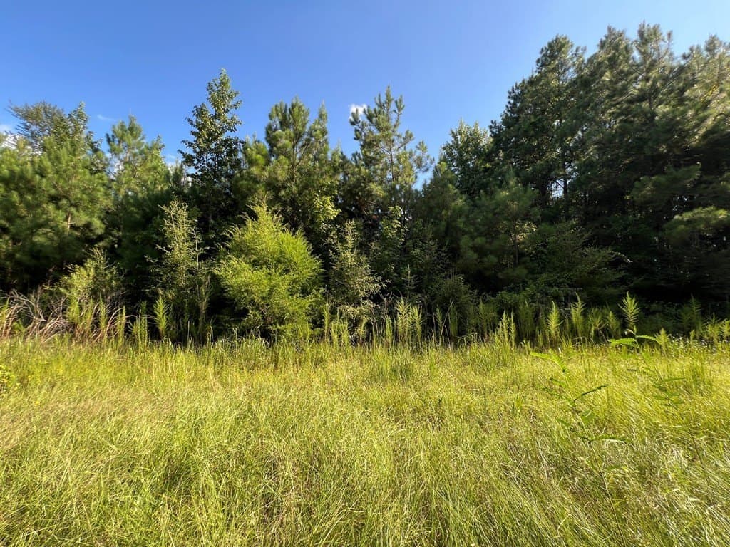 10.06 acres in Texas County - photo 12