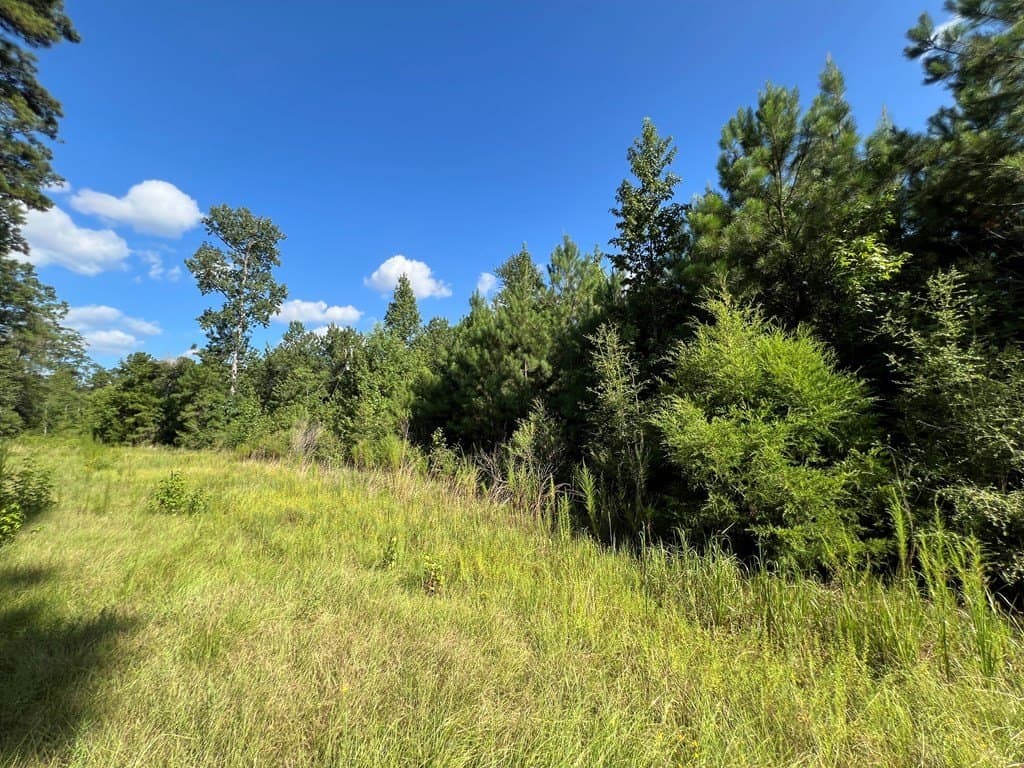 10.06 acres in Texas County - photo 11