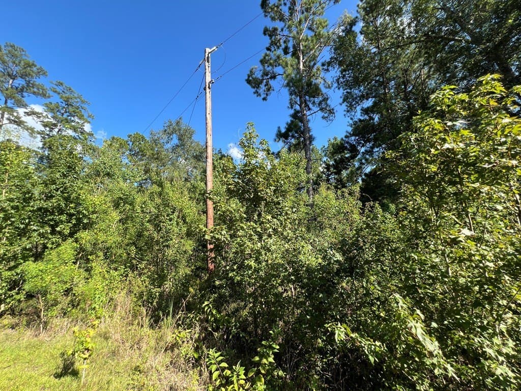 10.06 acres in Texas County - photo 15