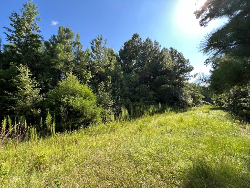 10.06 acres in Texas County - photo 10