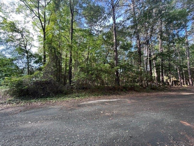 0.28 acres in Texas County featured view