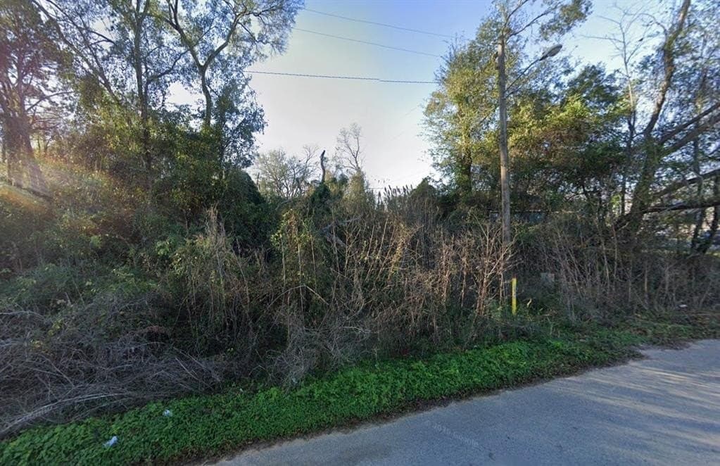 0.16 acres in Montgomery County gallery image 2