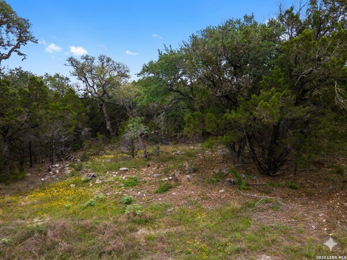 2.25 acres in Comal County - photo 9