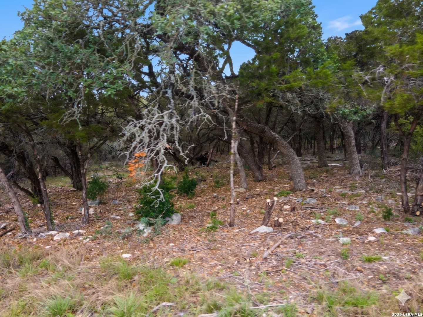 2.25 acres in Comal County - photo 8