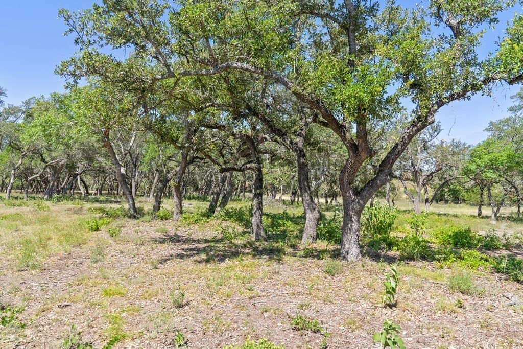 20.8 acres in Blanco County - photo 11