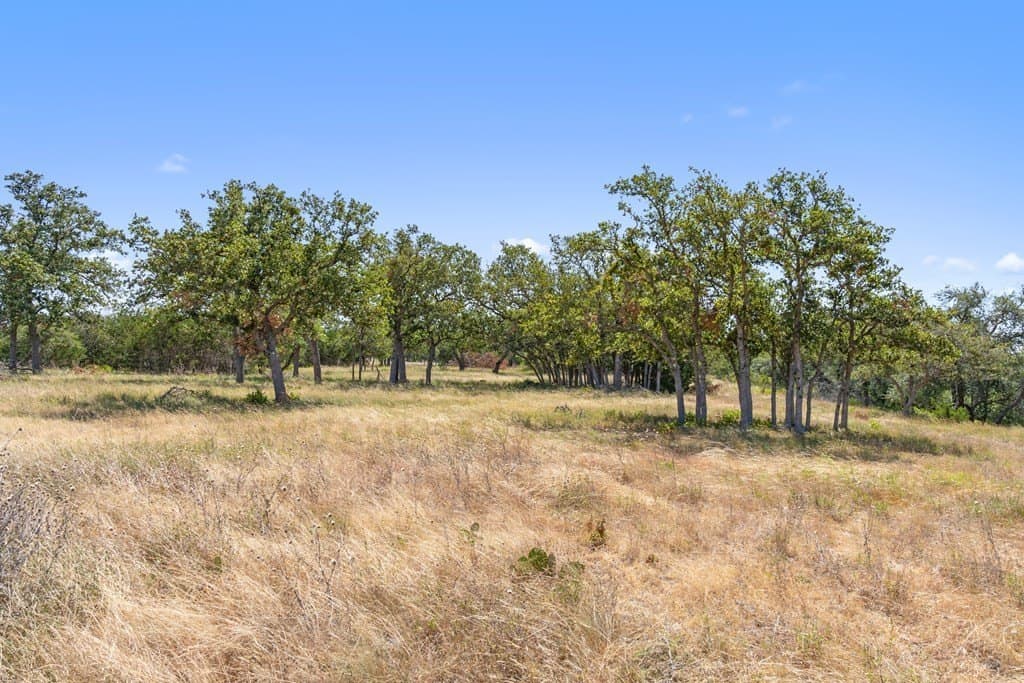 20.8 acres in Blanco County - photo 10