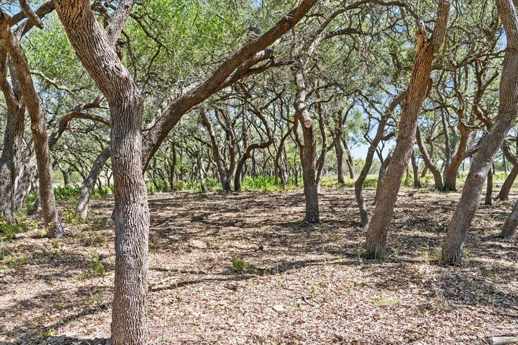 20.8 acres in Blanco County - photo 8