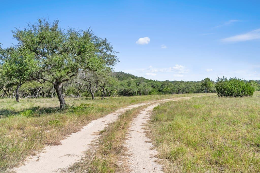 20.8 acres in Blanco County - photo 14