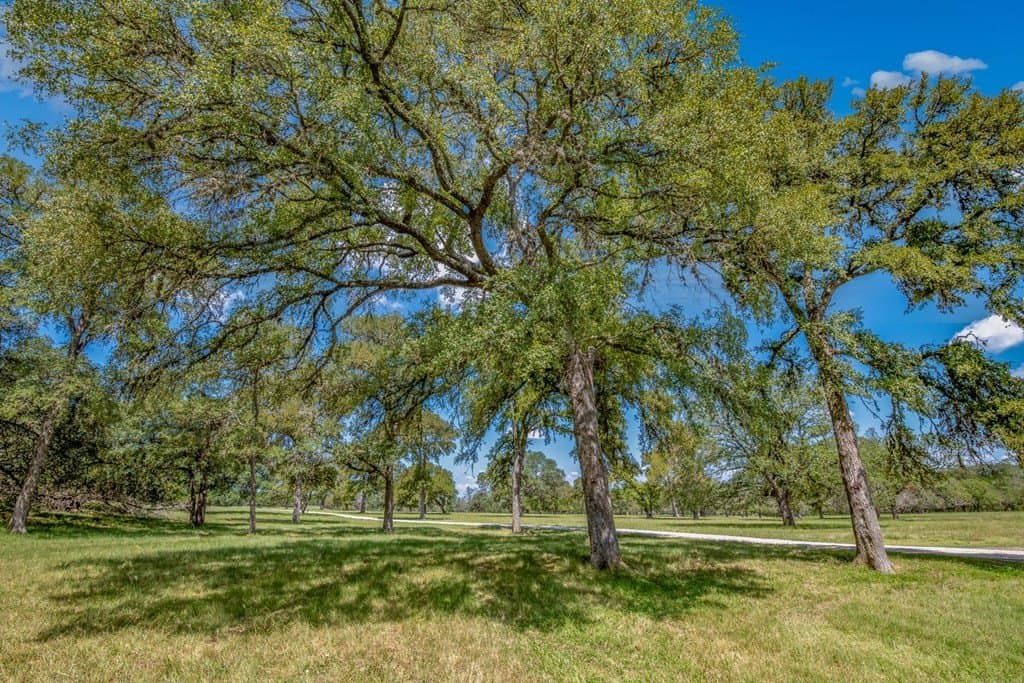 138 acres in Kerr County - photo 37