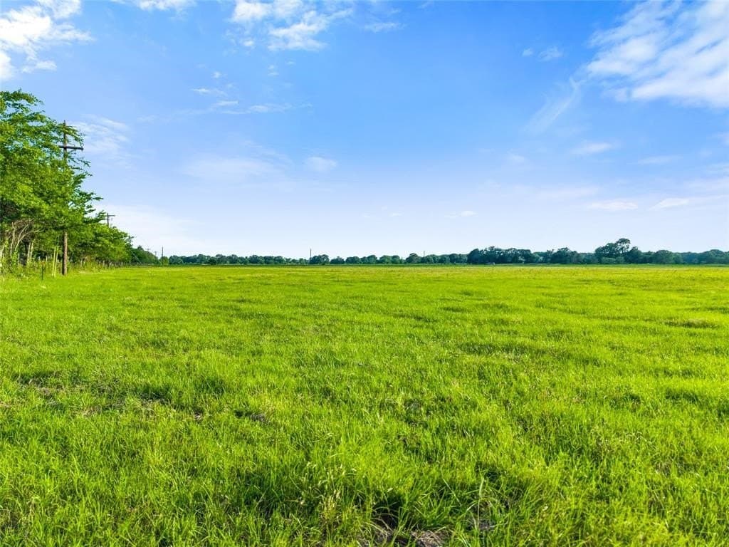 5.29 acres in Henderson County gallery image 4