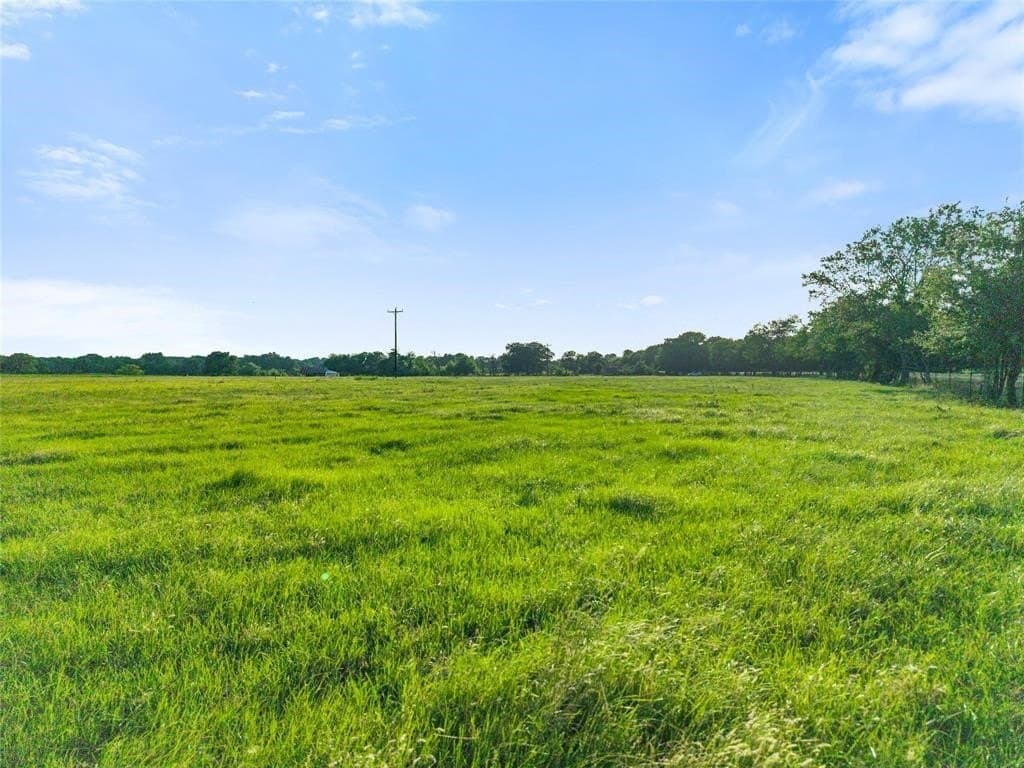 5.29 acres in Henderson County gallery image 3