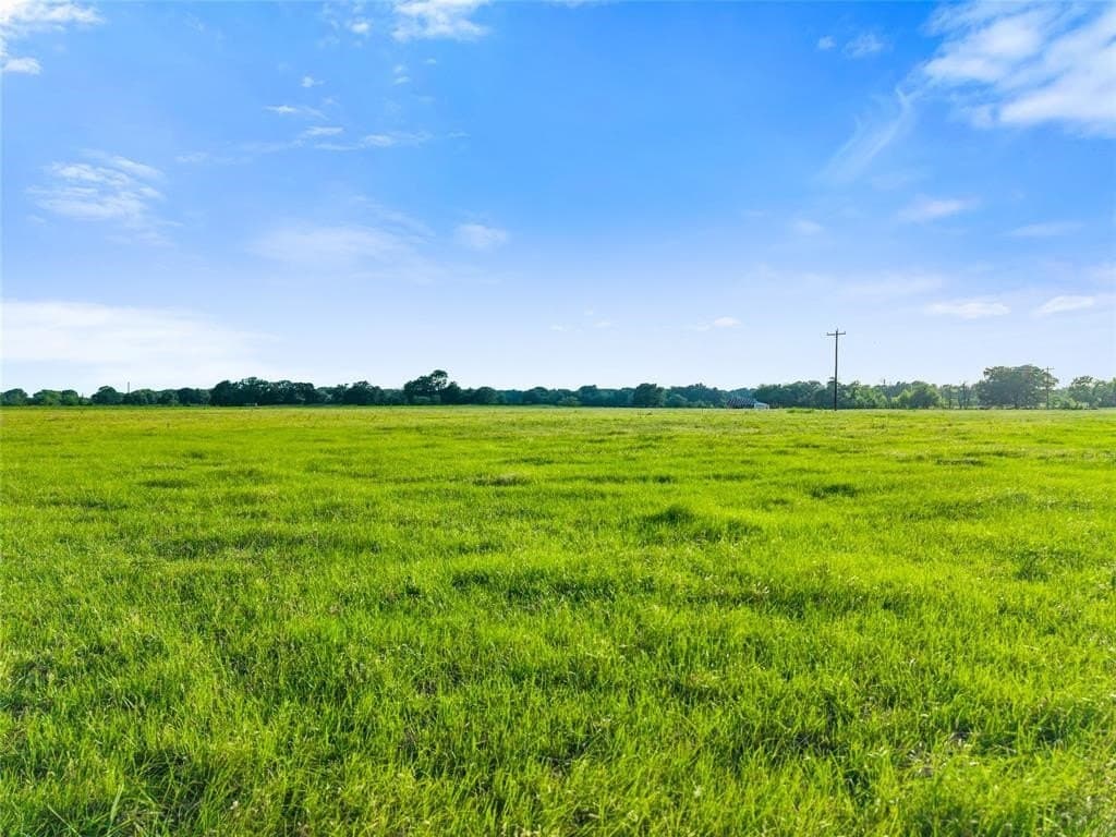 5.29 acres in Henderson County gallery image 2