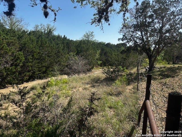 21.41 acres in Real County - photo 15