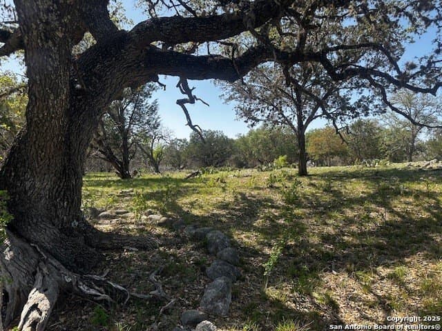 21.41 acres in Real County - photo 16