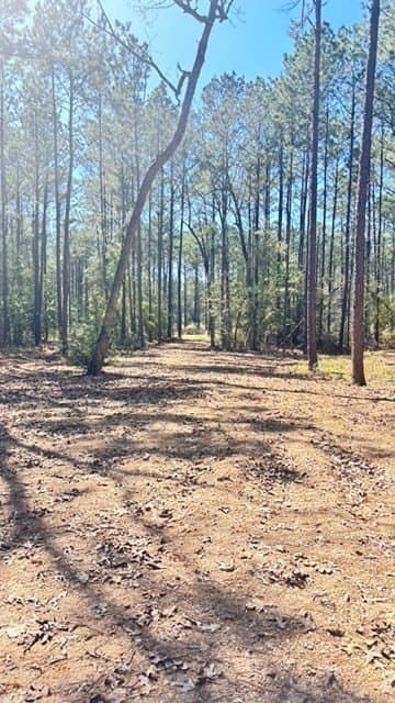 2.44 acres in Texas County - photo 8