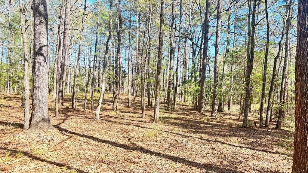 2.44 acres in Texas County - photo 6