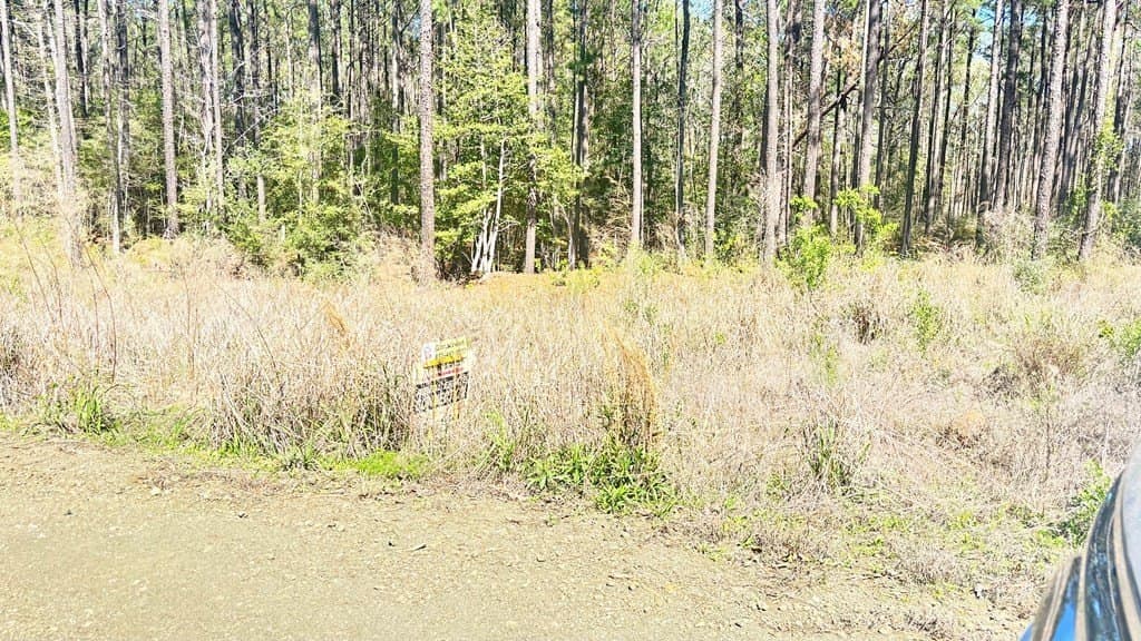 2.44 acres in Texas County - photo 7
