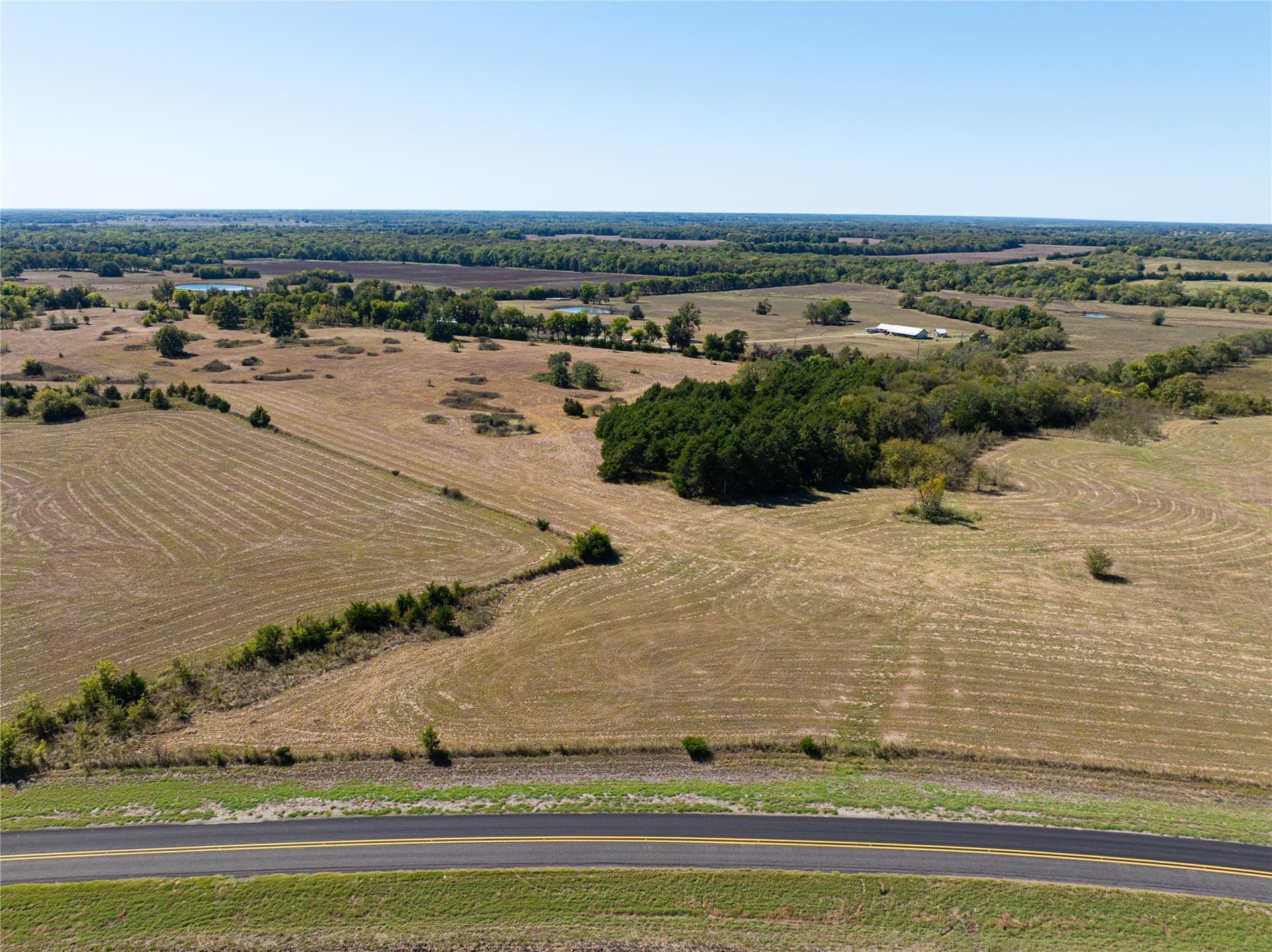 11 acres in Lamar County gallery image 3