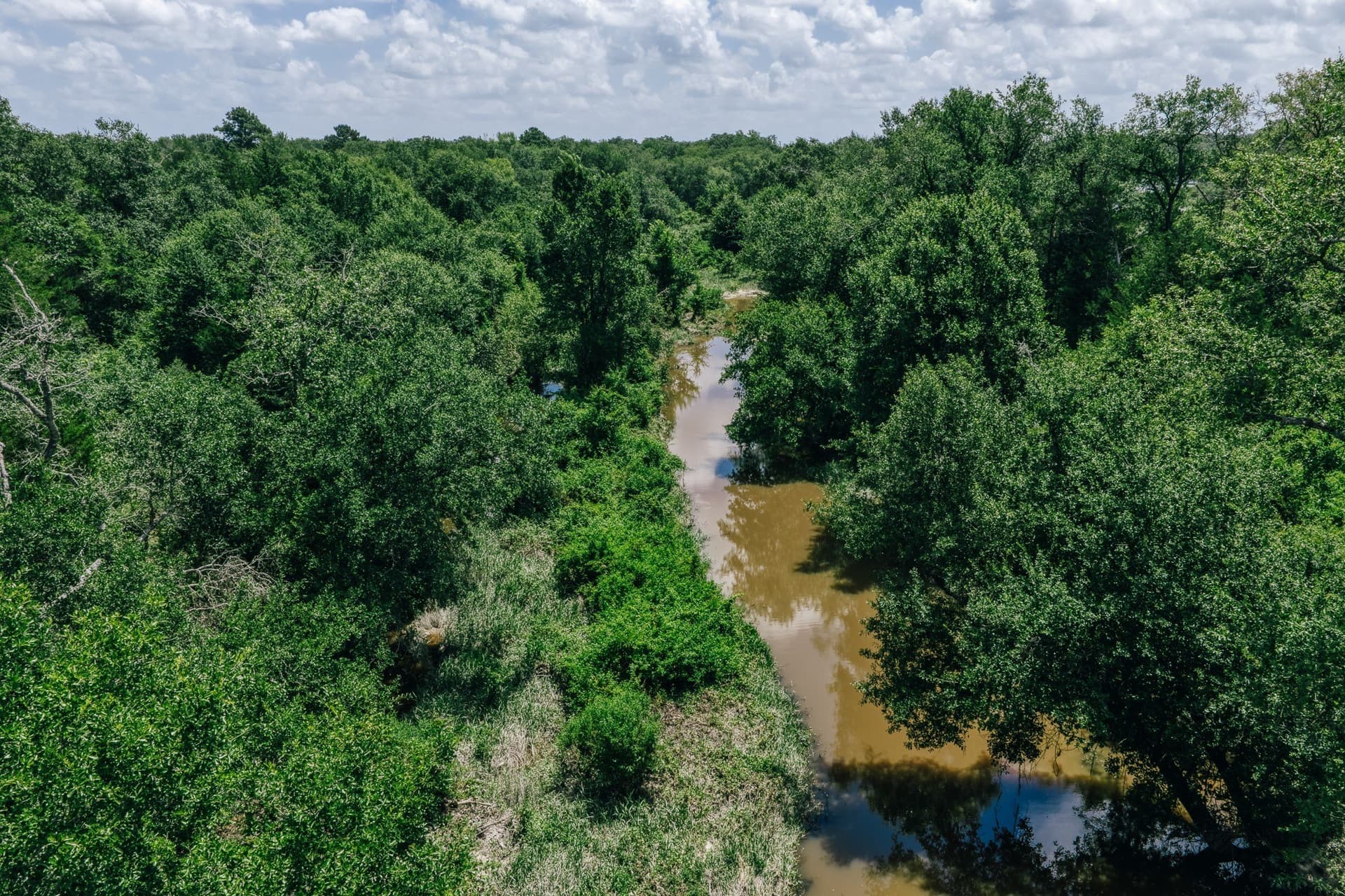 1,021 acres in Limestone County - photo 5