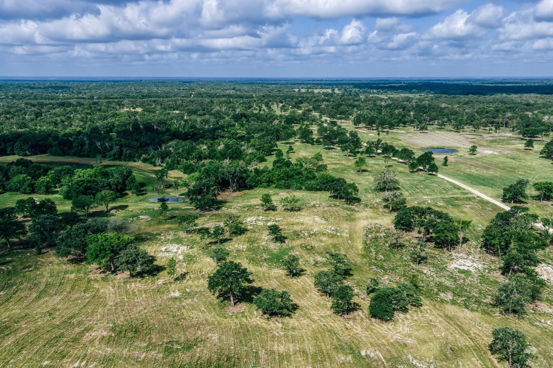 1,021 acres in Limestone County - photo 22