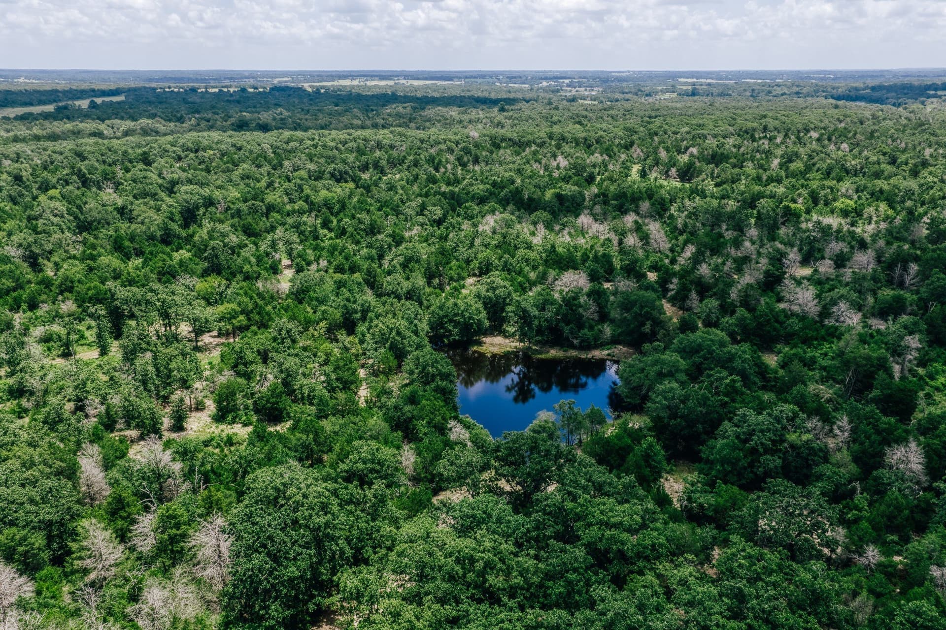 1,021 acres in Limestone County - photo 10