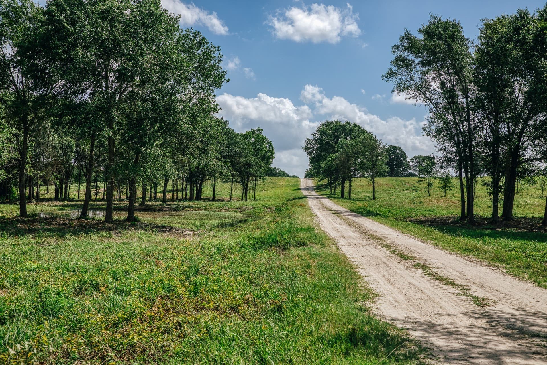 1,021 acres in Limestone County - photo 38