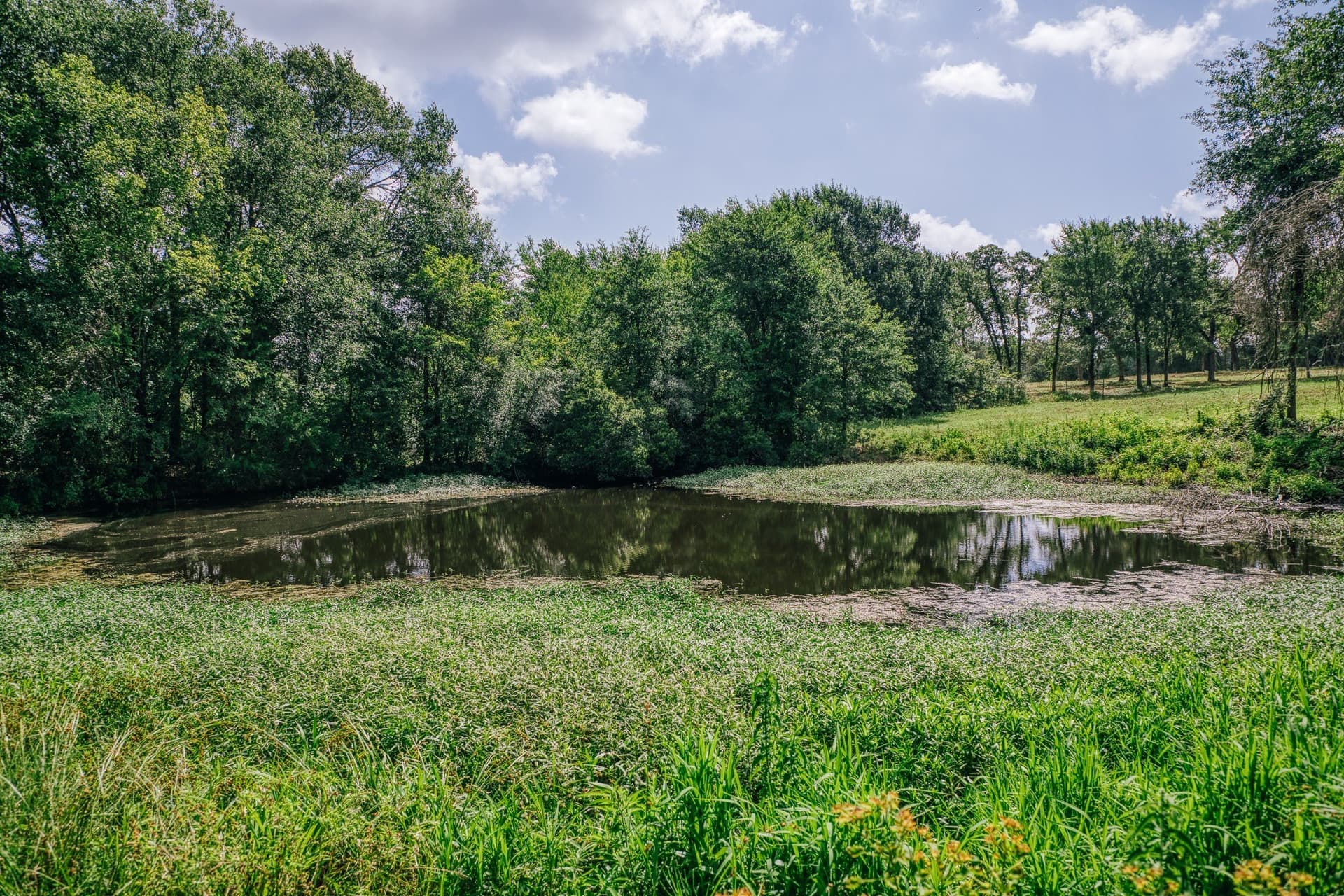 1,021 acres in Limestone County - photo 37