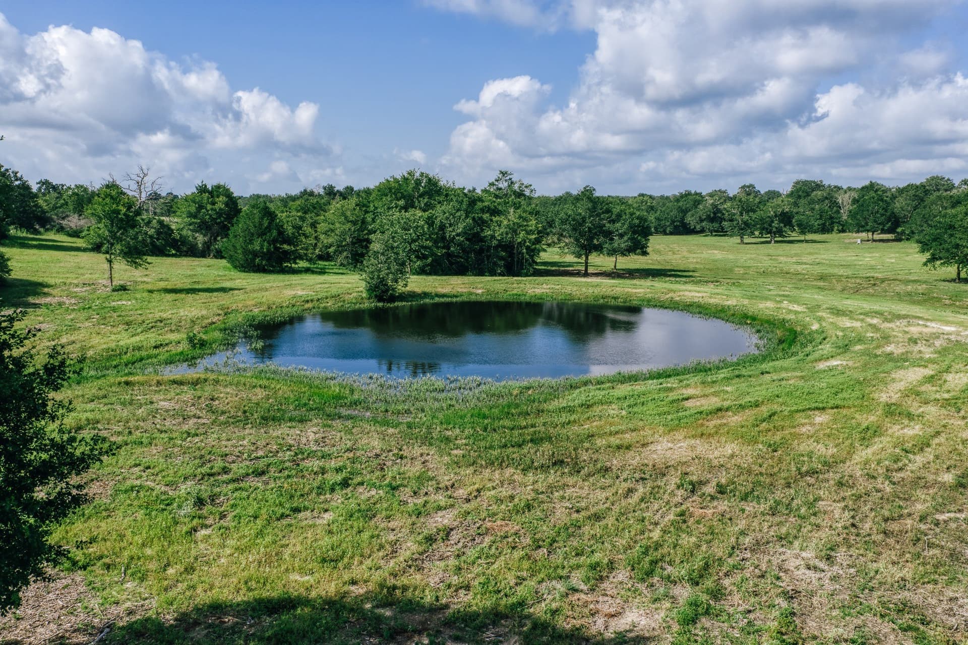 1,021 acres in Limestone County - photo 14