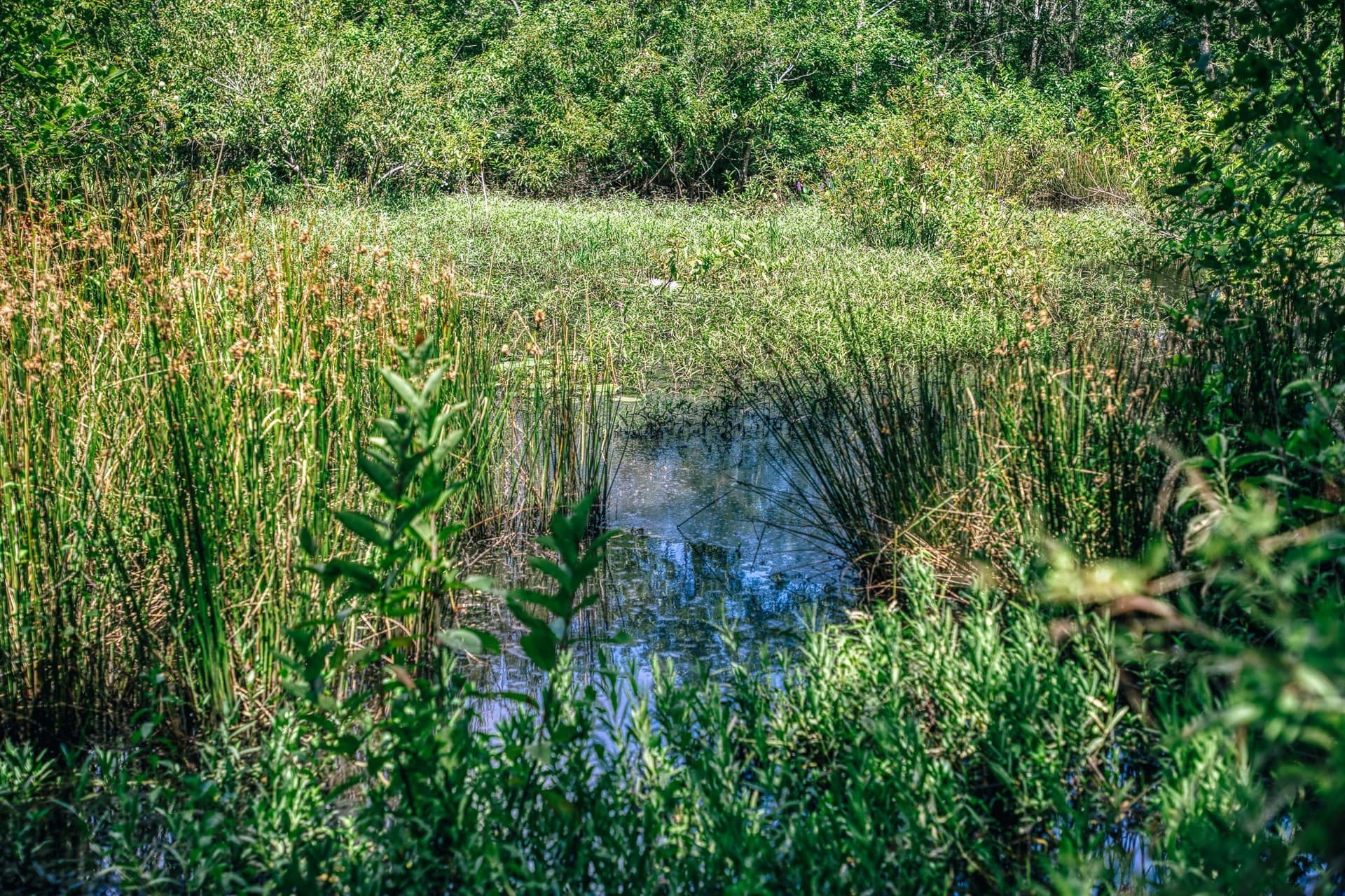1,021 acres in Limestone County - photo 39