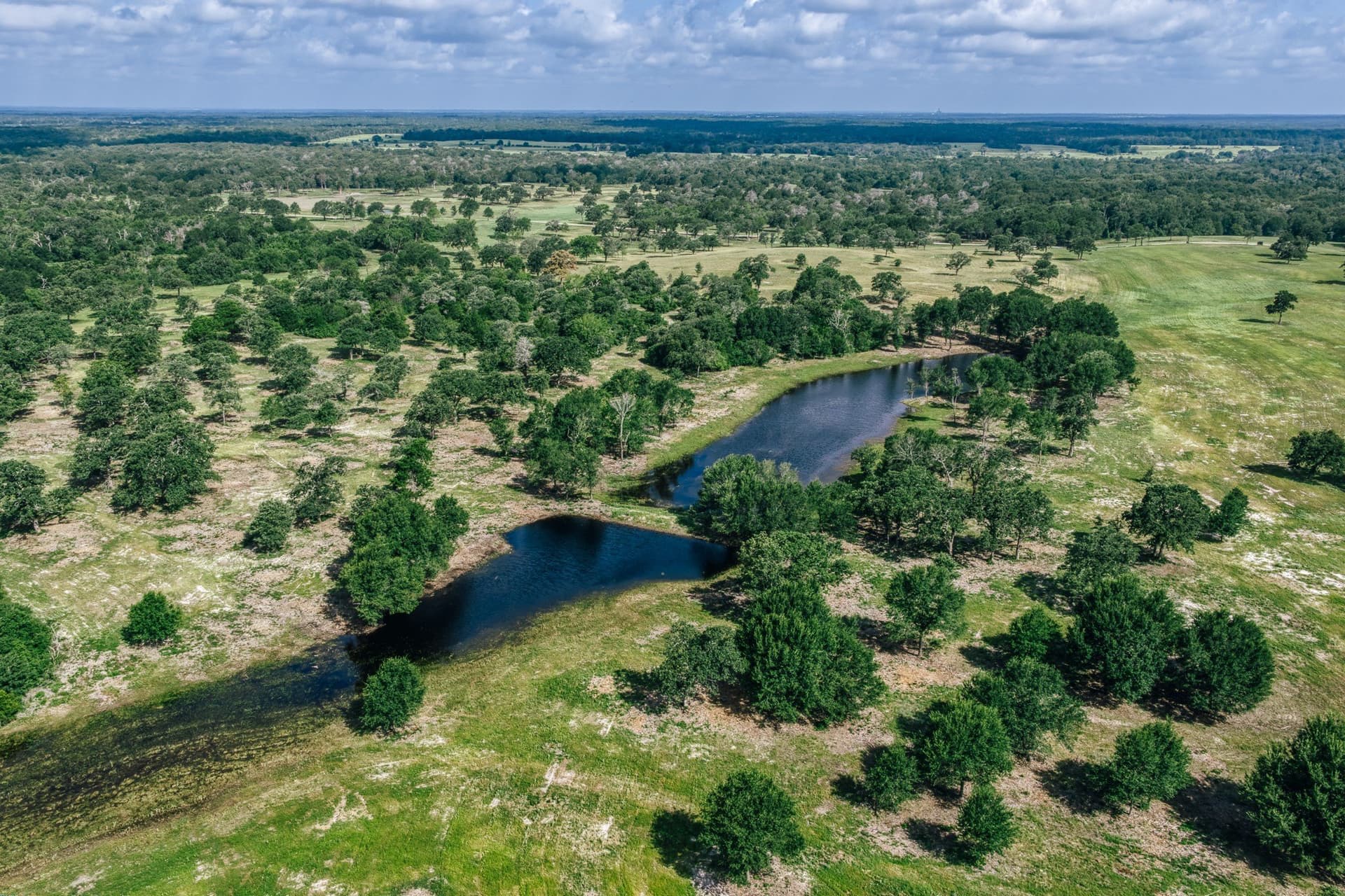 1,021 acres in Limestone County - photo 17