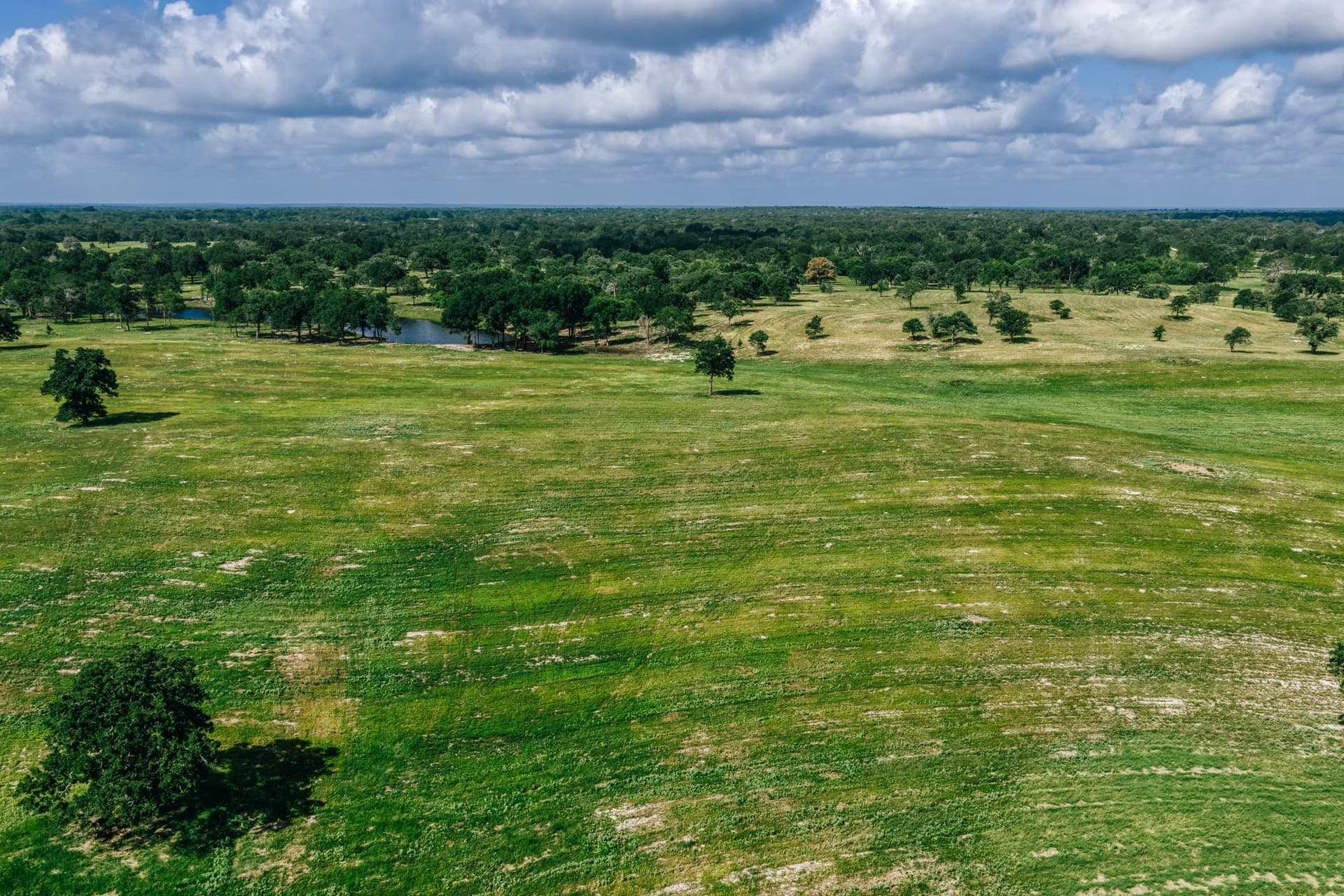 1,021 acres in Limestone County - photo 21