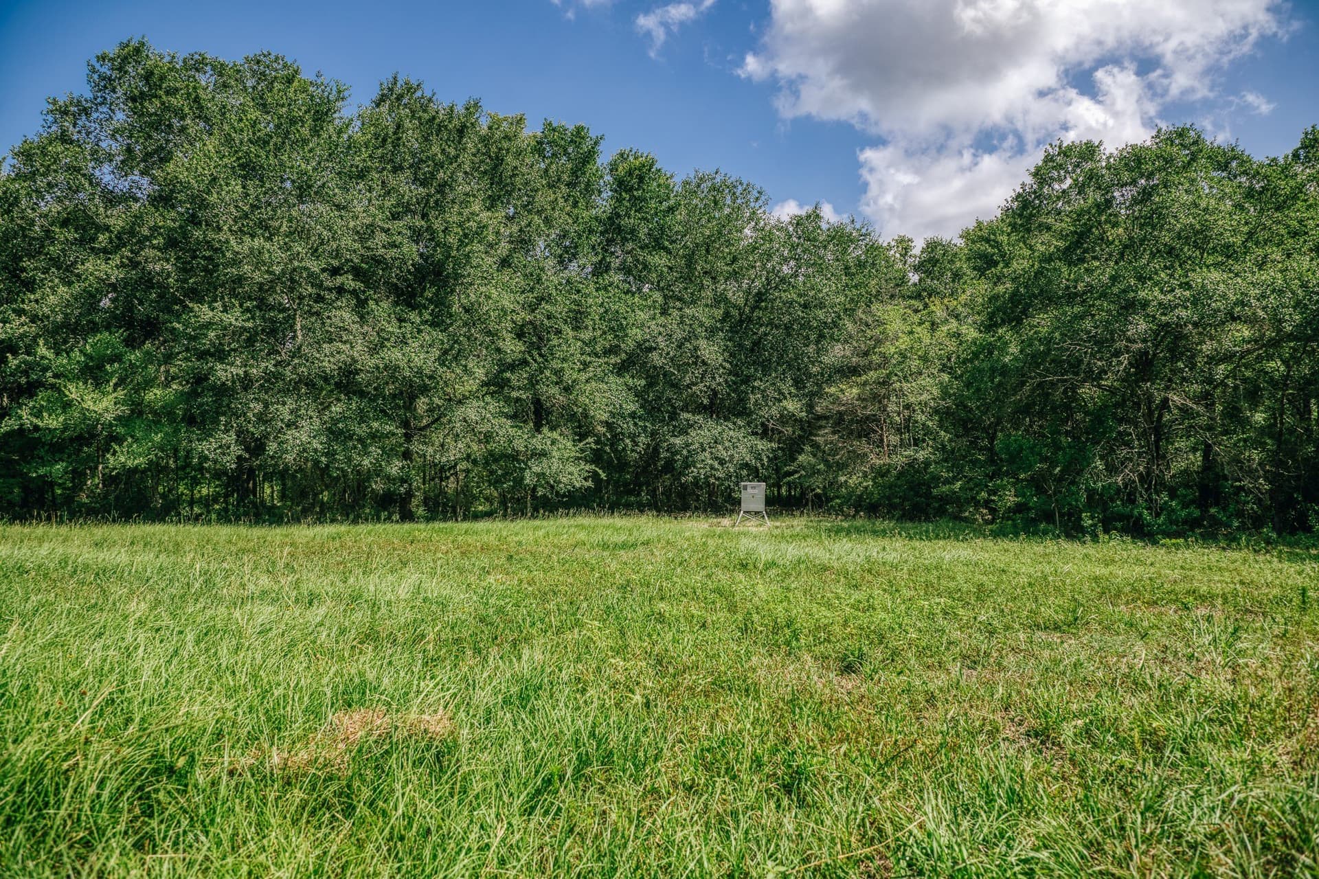 1,021 acres in Limestone County - photo 36
