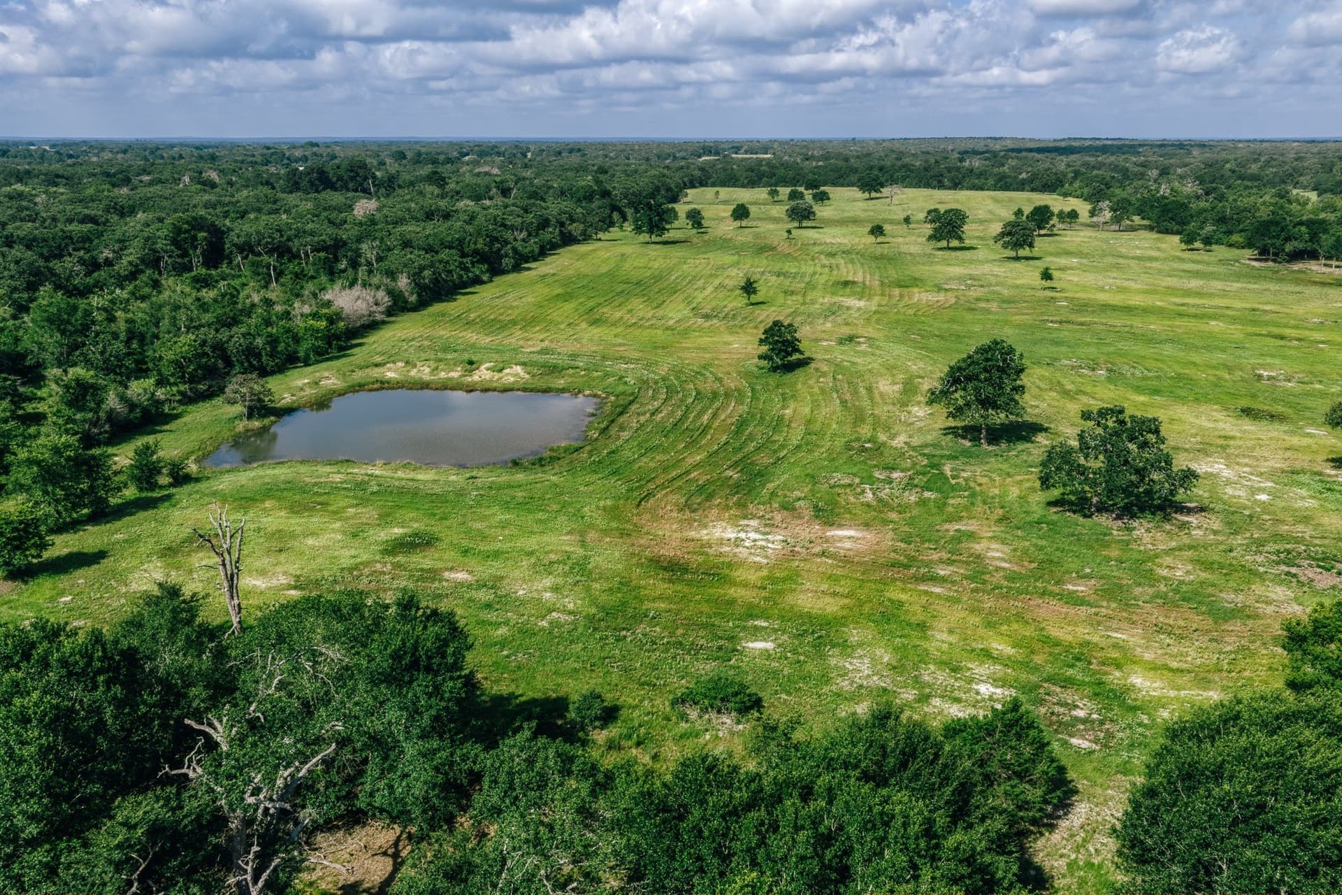 1,021 acres in Limestone County - photo 19