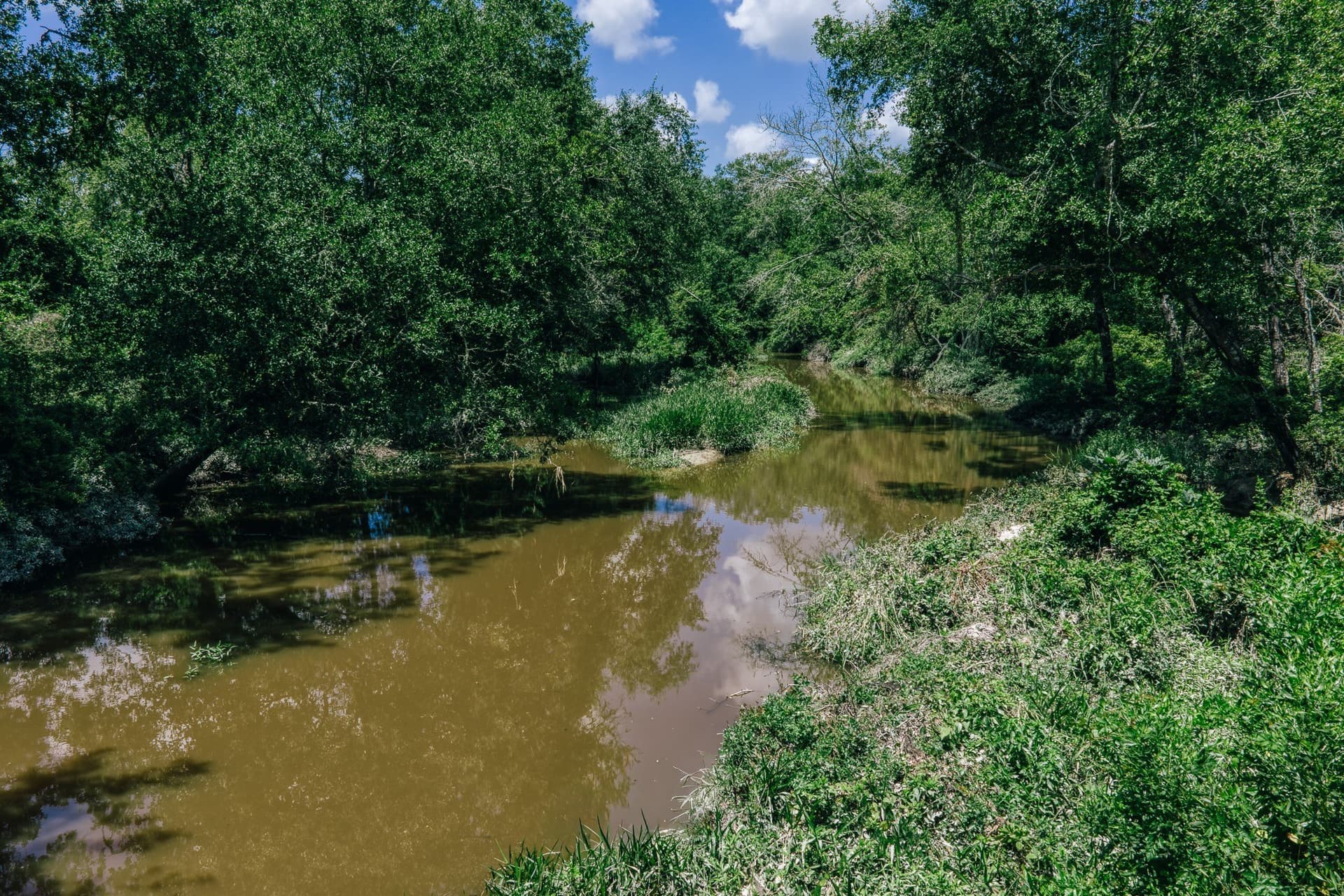 1,021 acres in Limestone County - photo 4