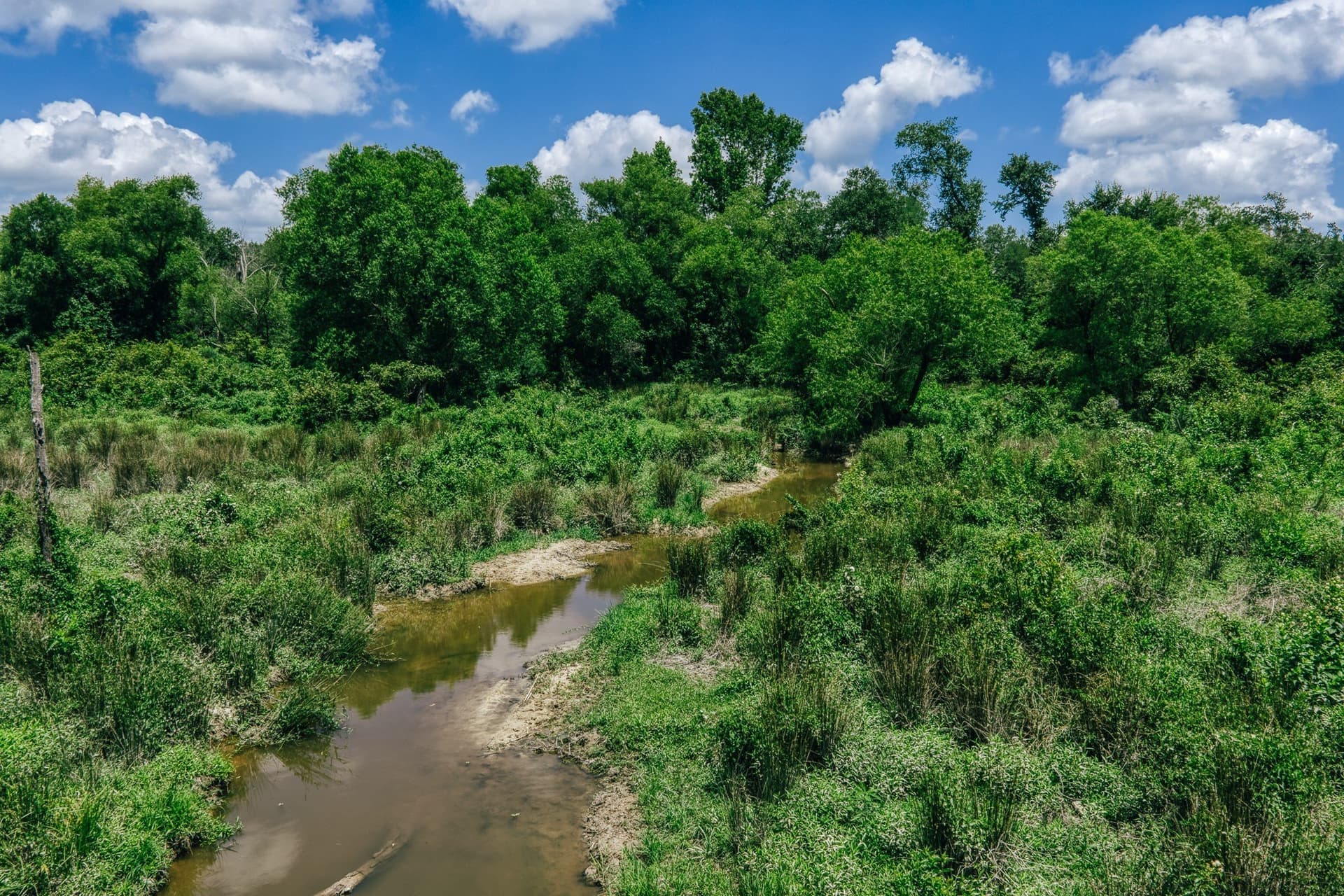 1,021 acres in Limestone County - photo 7