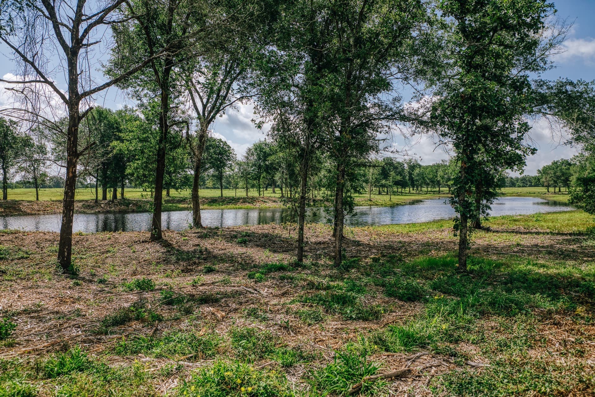 1,021 acres in Limestone County - photo 32