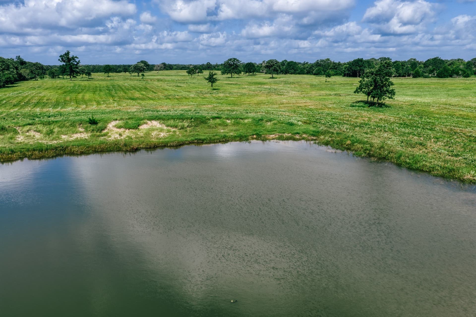 1,021 acres in Limestone County - photo 20