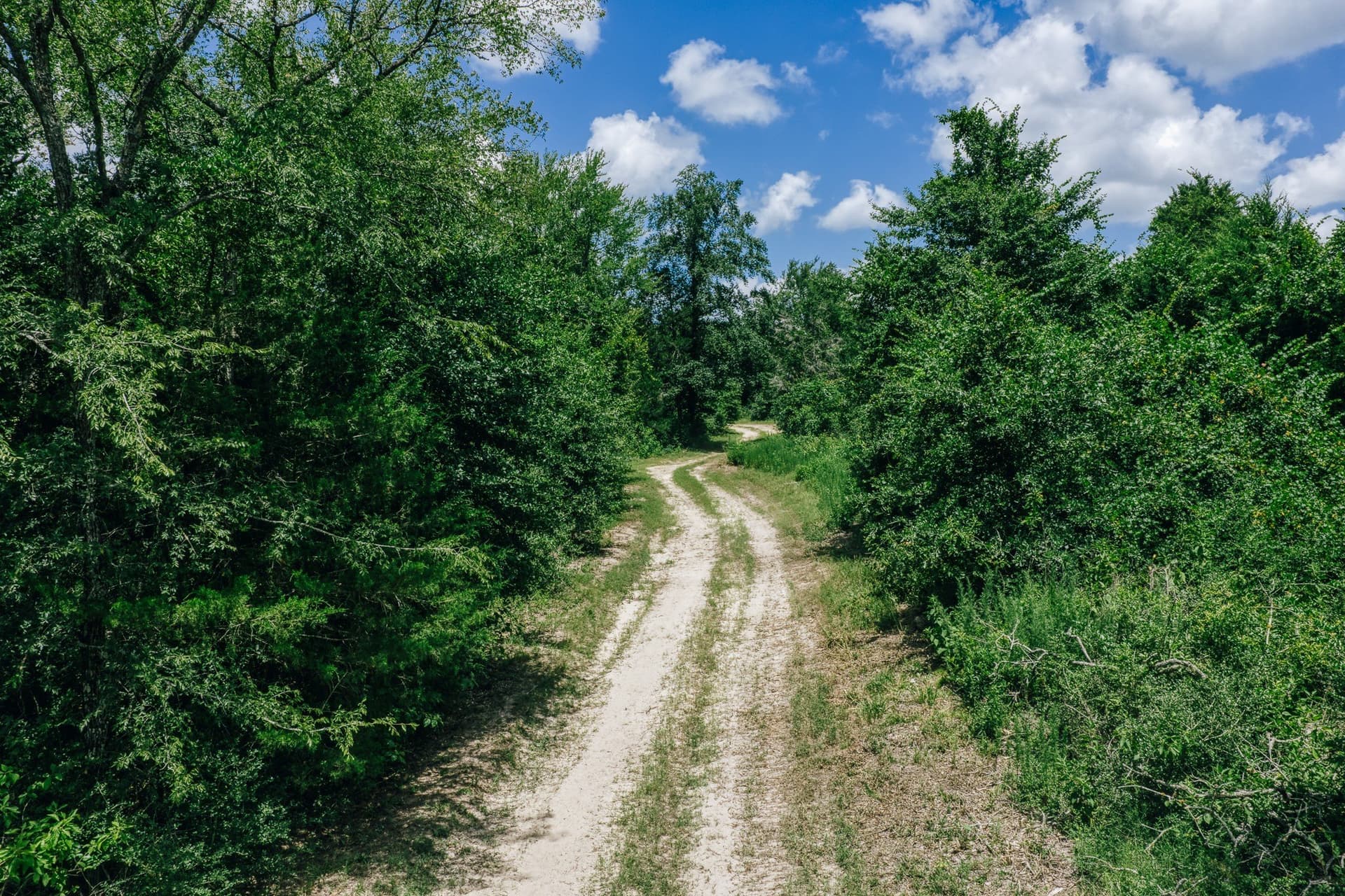 1,021 acres in Limestone County - photo 9