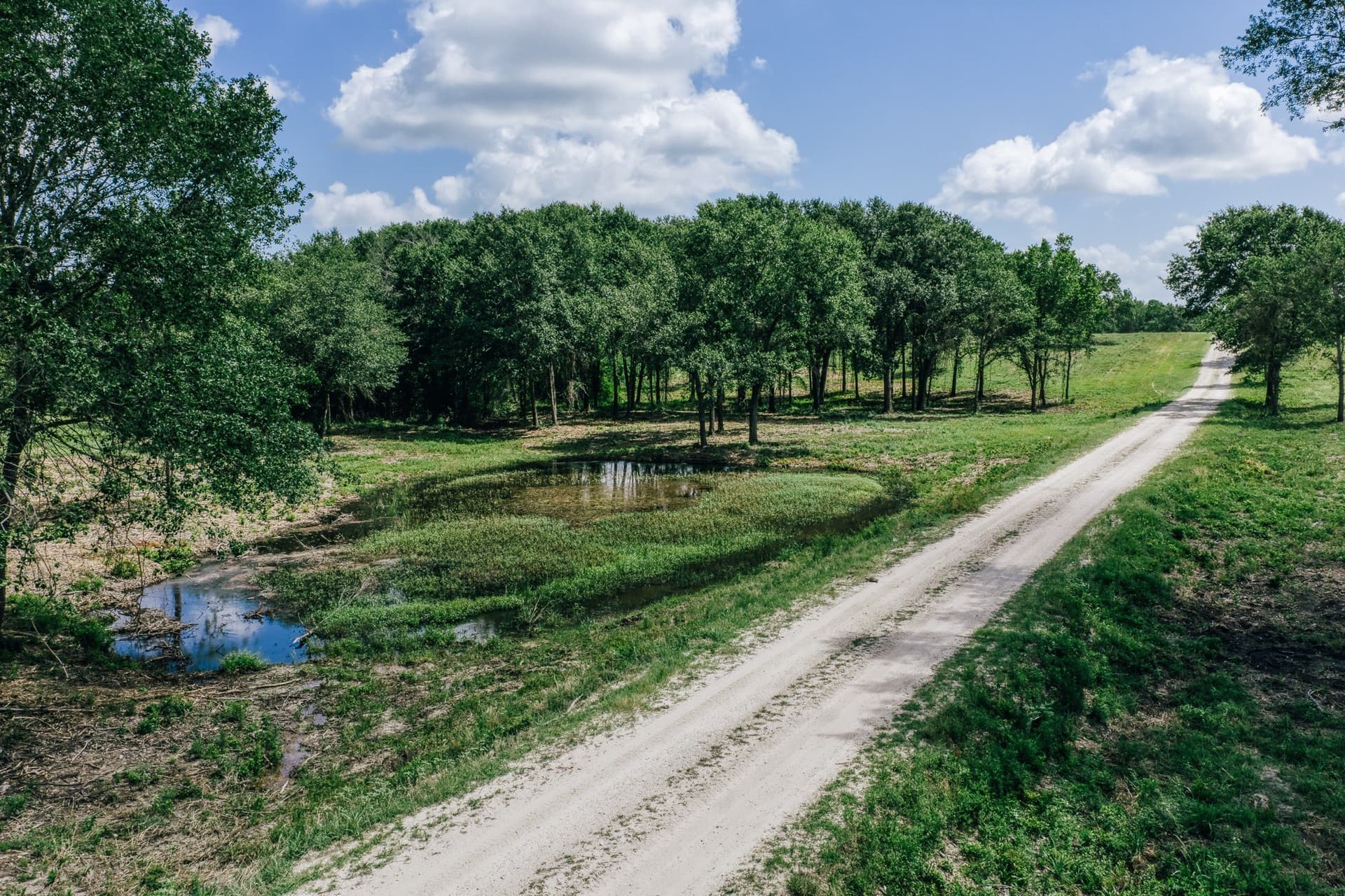 1,021 acres in Limestone County - photo 26