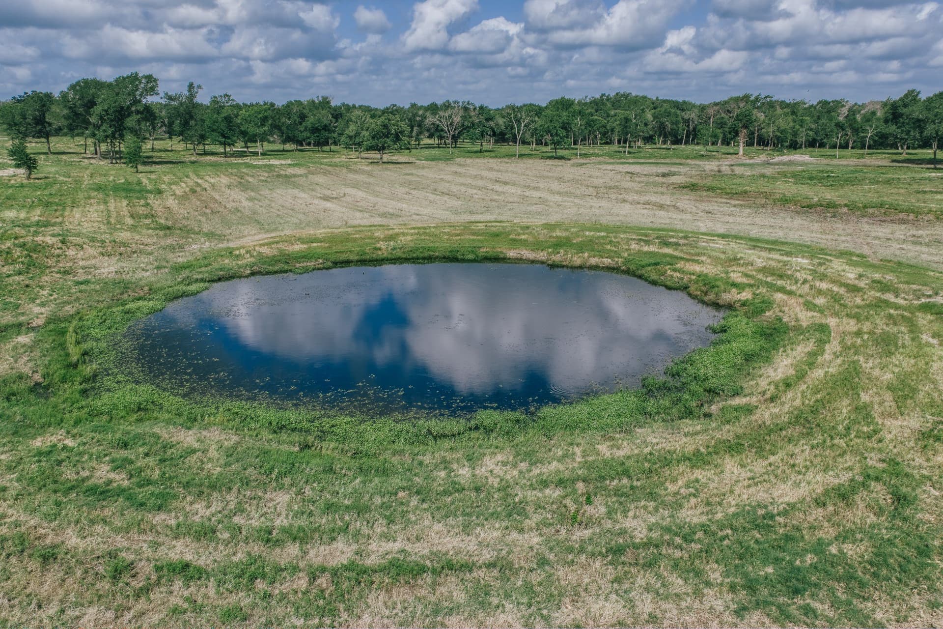 1,021 acres in Limestone County - photo 24