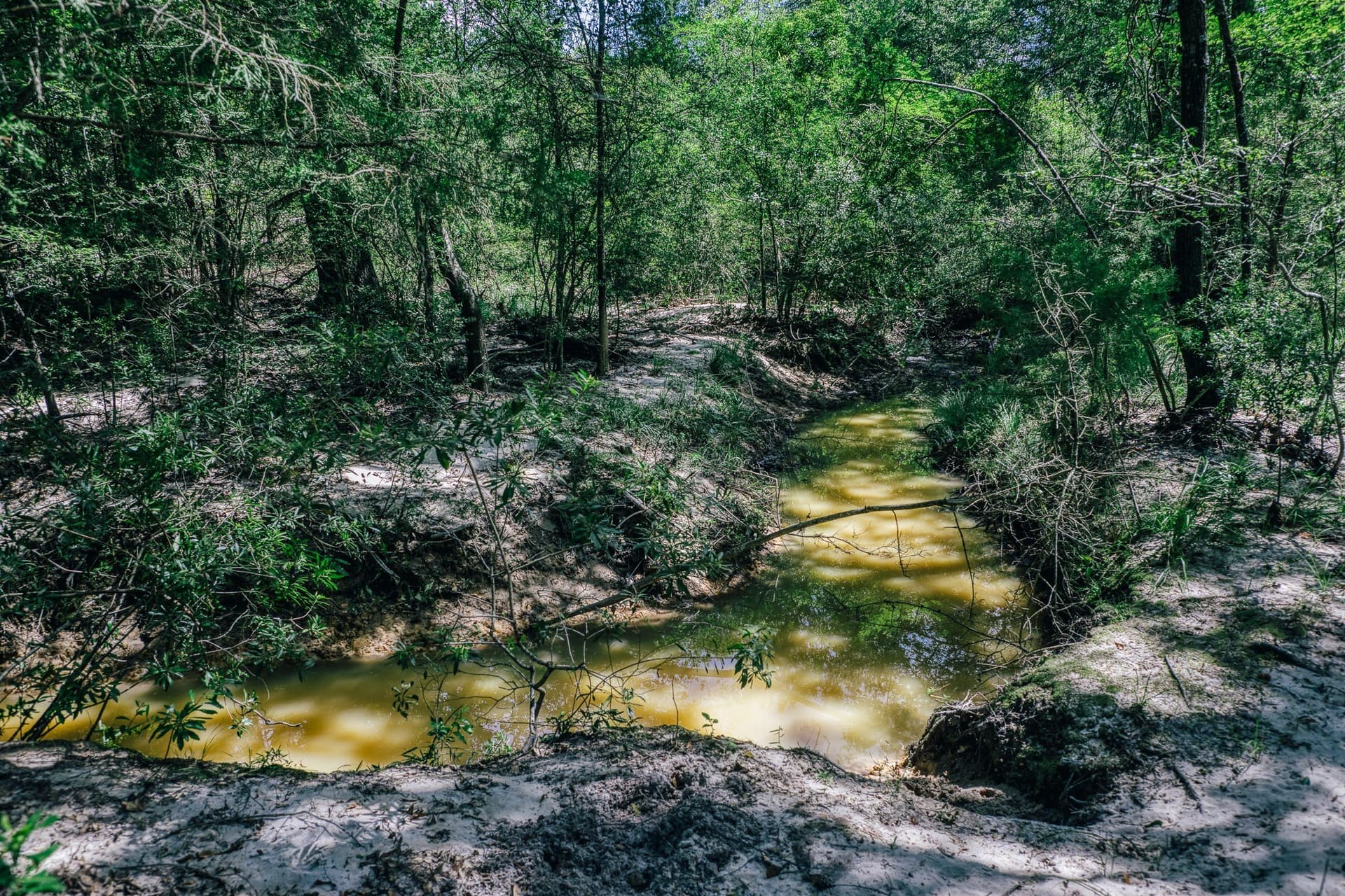 1,021 acres in Limestone County - photo 40