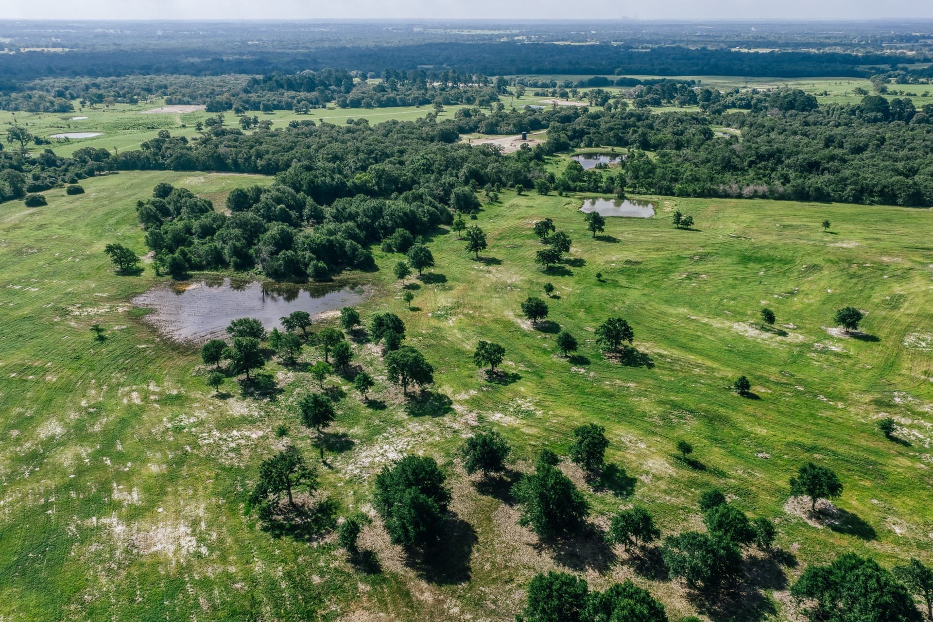 1,021 acres in Limestone County - photo 18